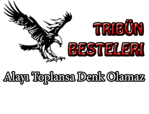 alayı toplansa denk olamaz