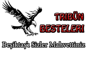 beşiktaşı sizler mahvettiniz