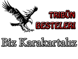 biz karakartalız