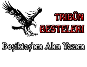 Beşiktaşım alın yazım