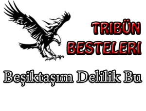 beşiktaşım delilik bu