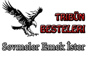 sevmeler emek ister