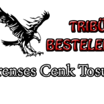 prenses cenk tosun